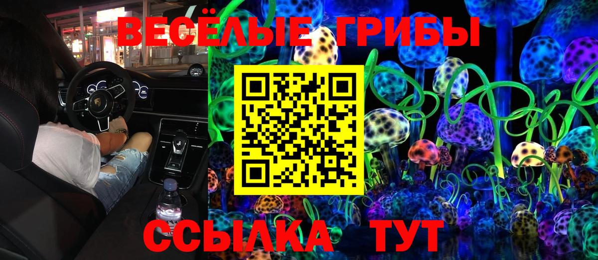 Галлюциногенные грибы прущие грибы Тула