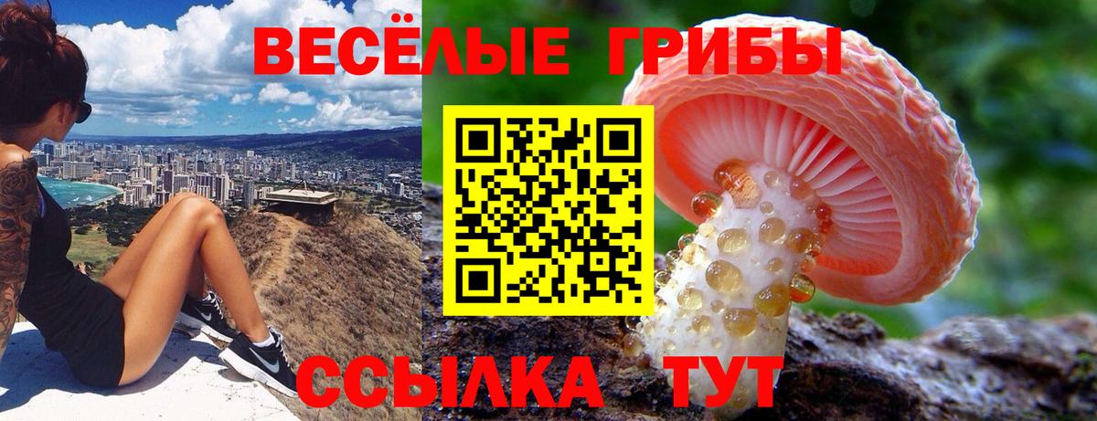 Тула  Псилоцибиновые грибы GOLDEN TEACHER  Вход с VPN  Галлюциногенные грибы GOLDEN TEACHER 
